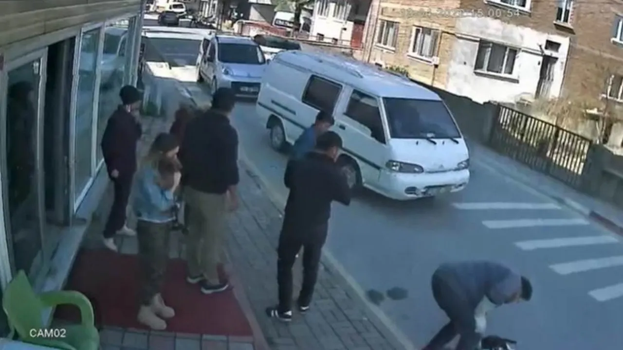 Kediye çarpıp kaçan sürücüye 12 bin 372 lira ceza kesildi