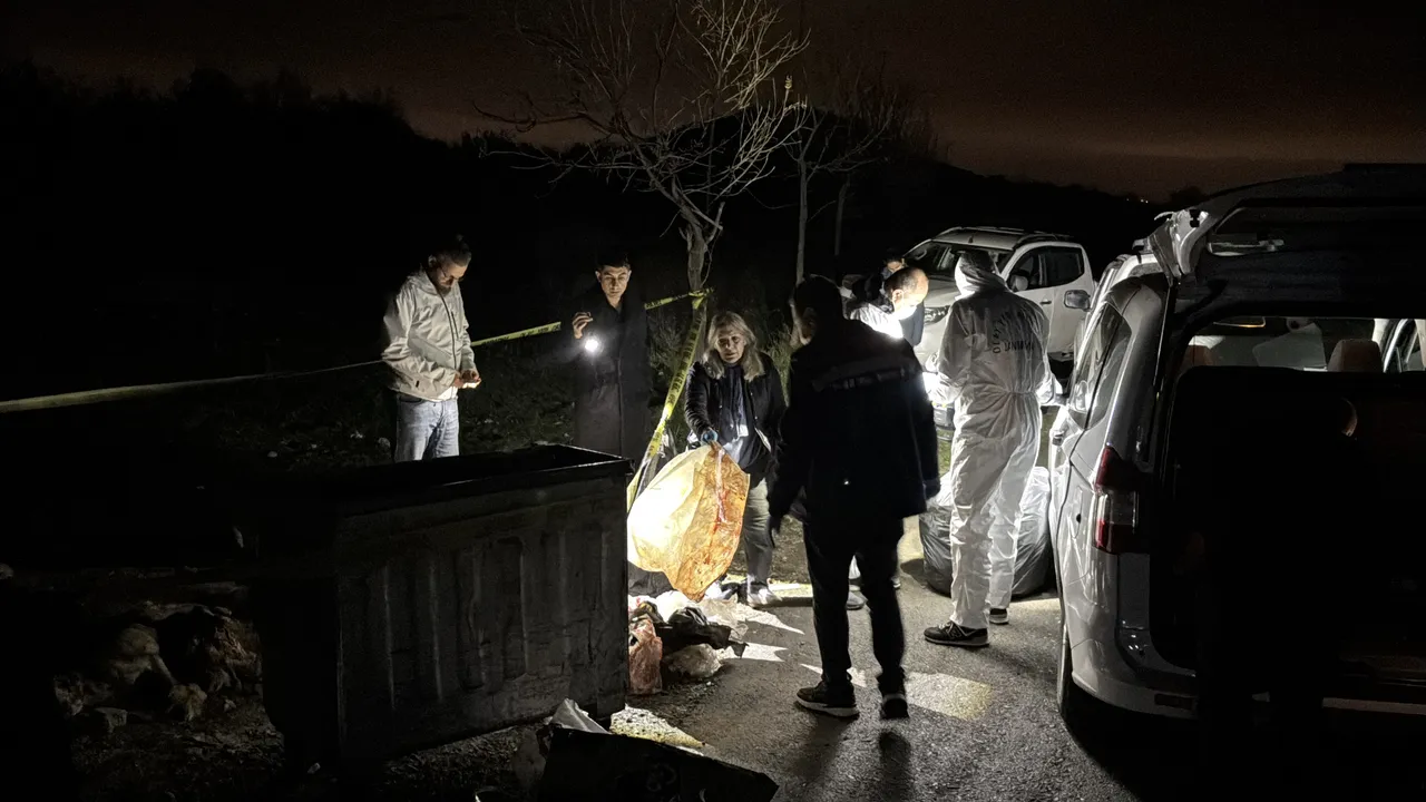 Samsun'da korkunç olay! Çöp kutusundan köpek cesetleri çıktı