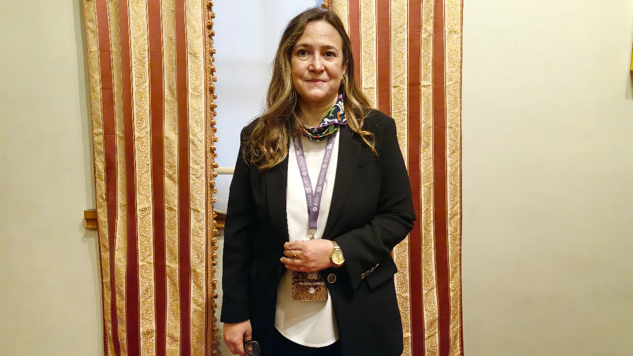 Tek fotoğrafla restorasyonlar karalanıyor! Dr. Aydemir: Abartılı hassasiyet var