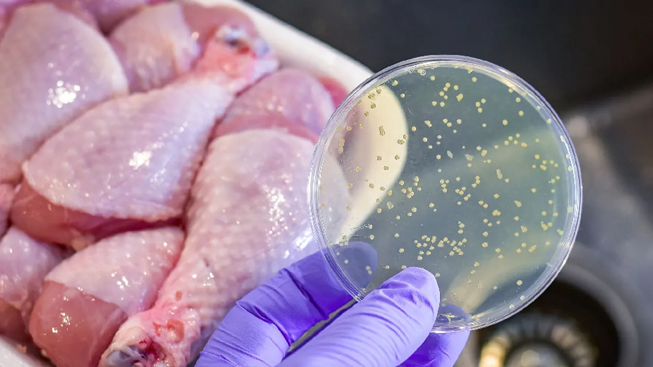 Tavuk, salam, sosis gibi gıdalara dikkat!