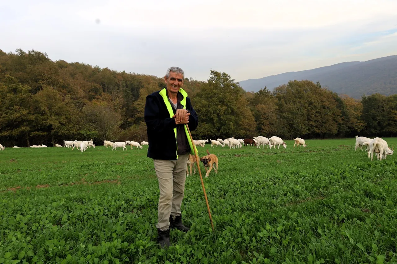 Belediye hibe etti, maliyet düştü! Üreticinin günlük karı 800 lira