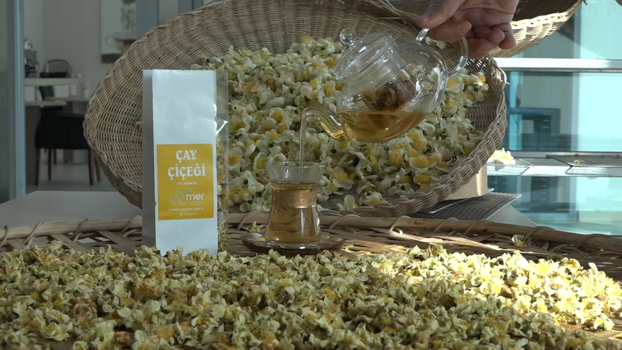 Çayın yeni ürünü! Kilosu 6 bin TLden kapış kapış satılıyor