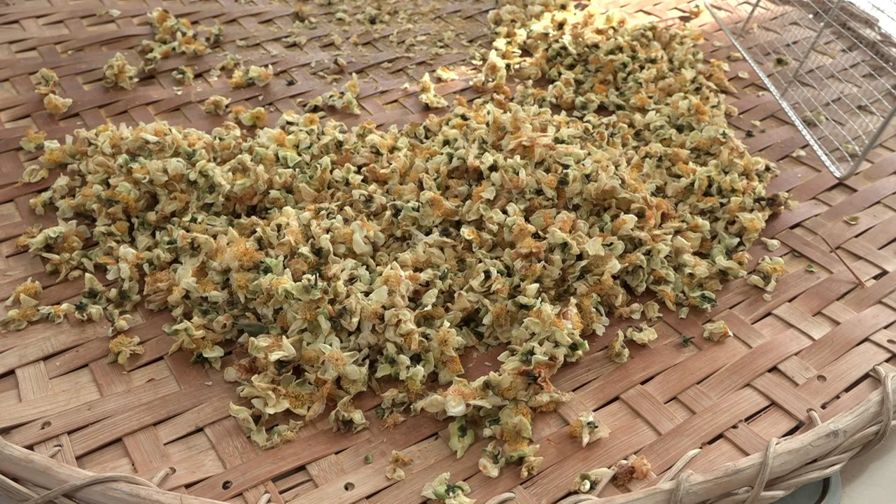 Çayın yeni ürünü! Kilosu 6 bin TLden kapış kapış satılıyor