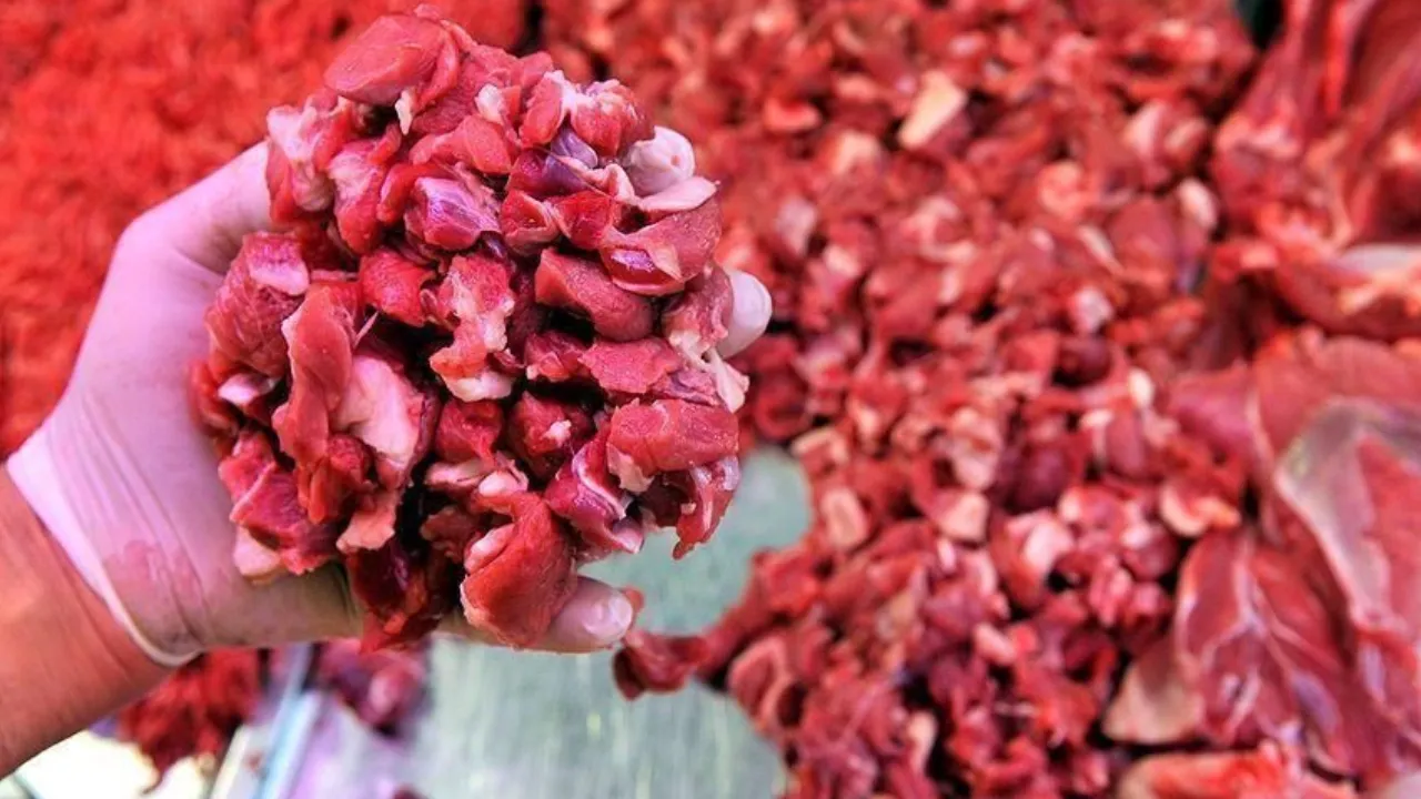 Fiyat dalgalanmalarına ilk elden tedbir: Kırmızı ette kriz büyüyecek mi?