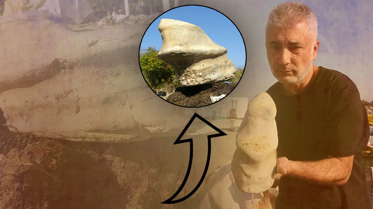  Giresun’da 15 metrede ilginç keşif! Balıkçıların ağlarına takıldı