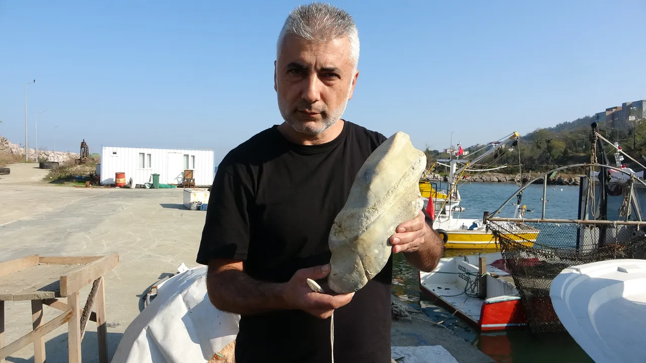 Görüntüsü at ayağına benziyor