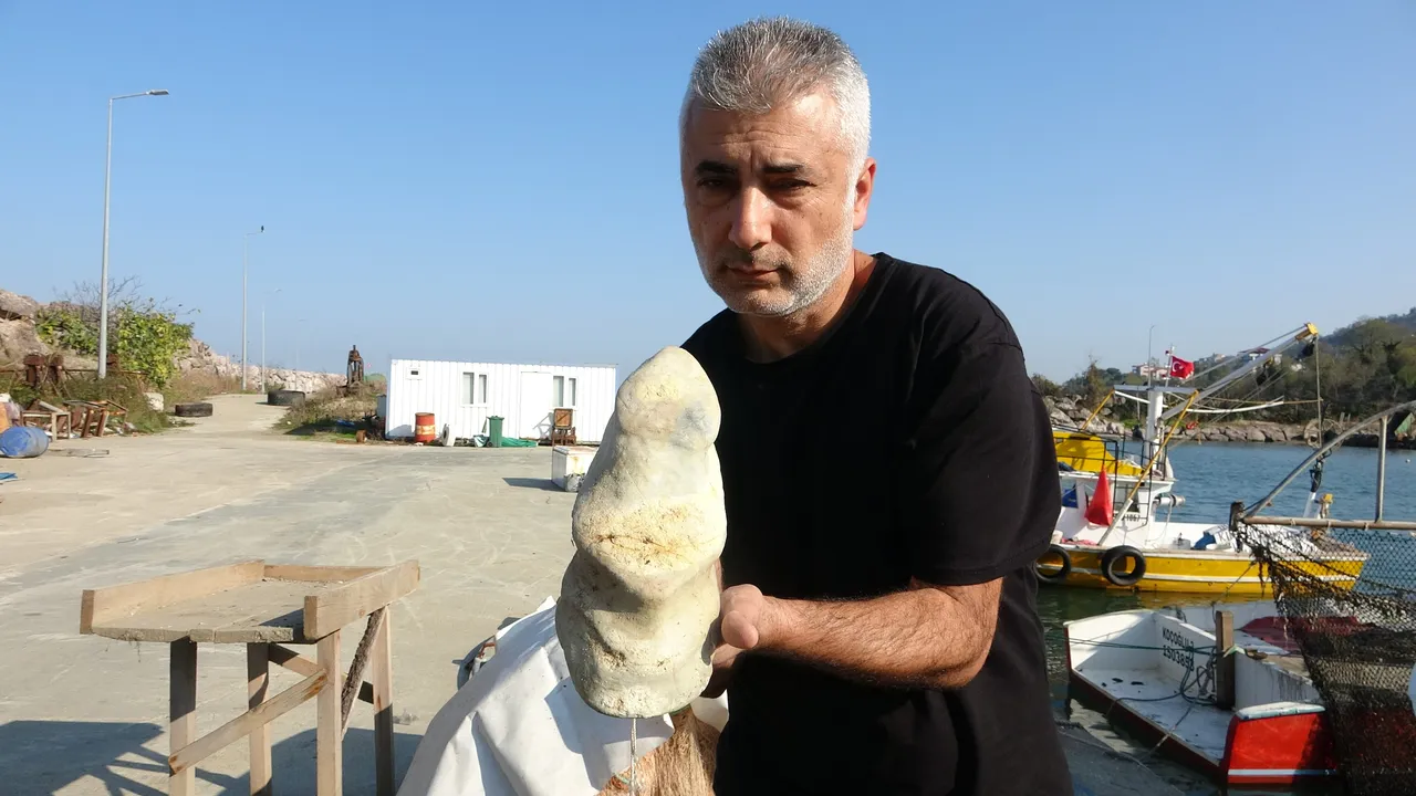 Giresun’da 15 metrede ilginç keşif! Balıkçıların ağlarına takıldı