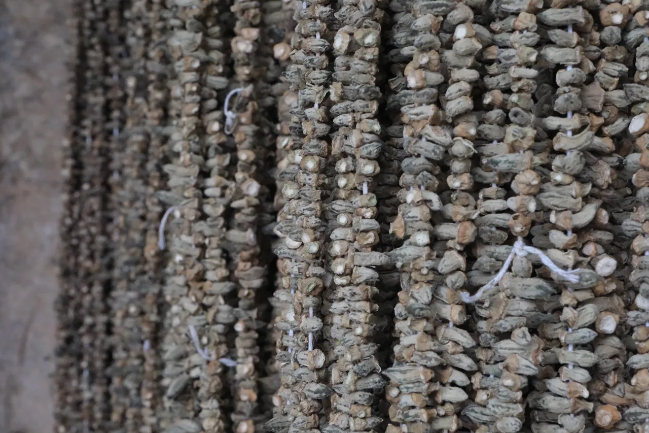 Kilosu 2 bin TL’yi buldu, talep yine de azalmıyor! Eklem ağrılarına şifa oluyor