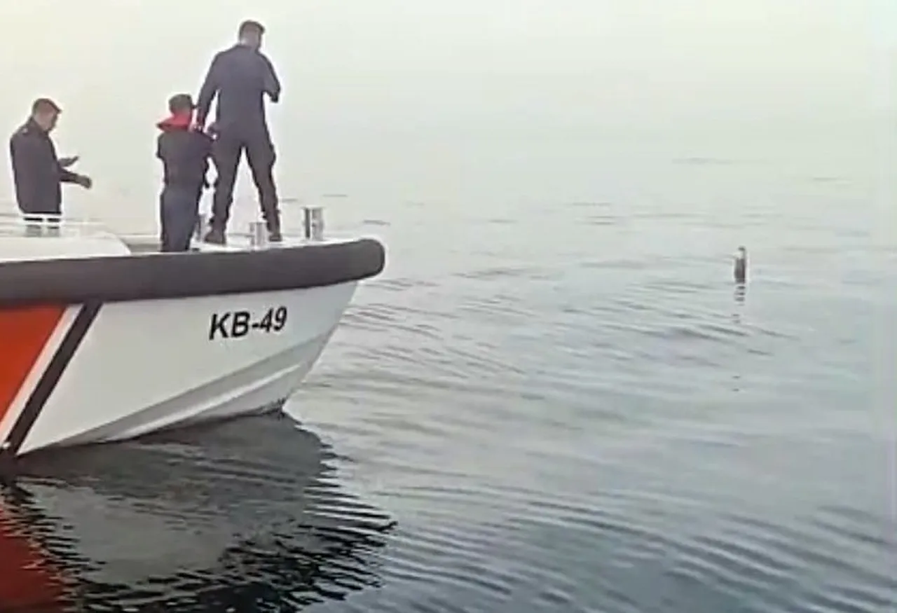 Balıkçılar roket yada füzeye benzetti