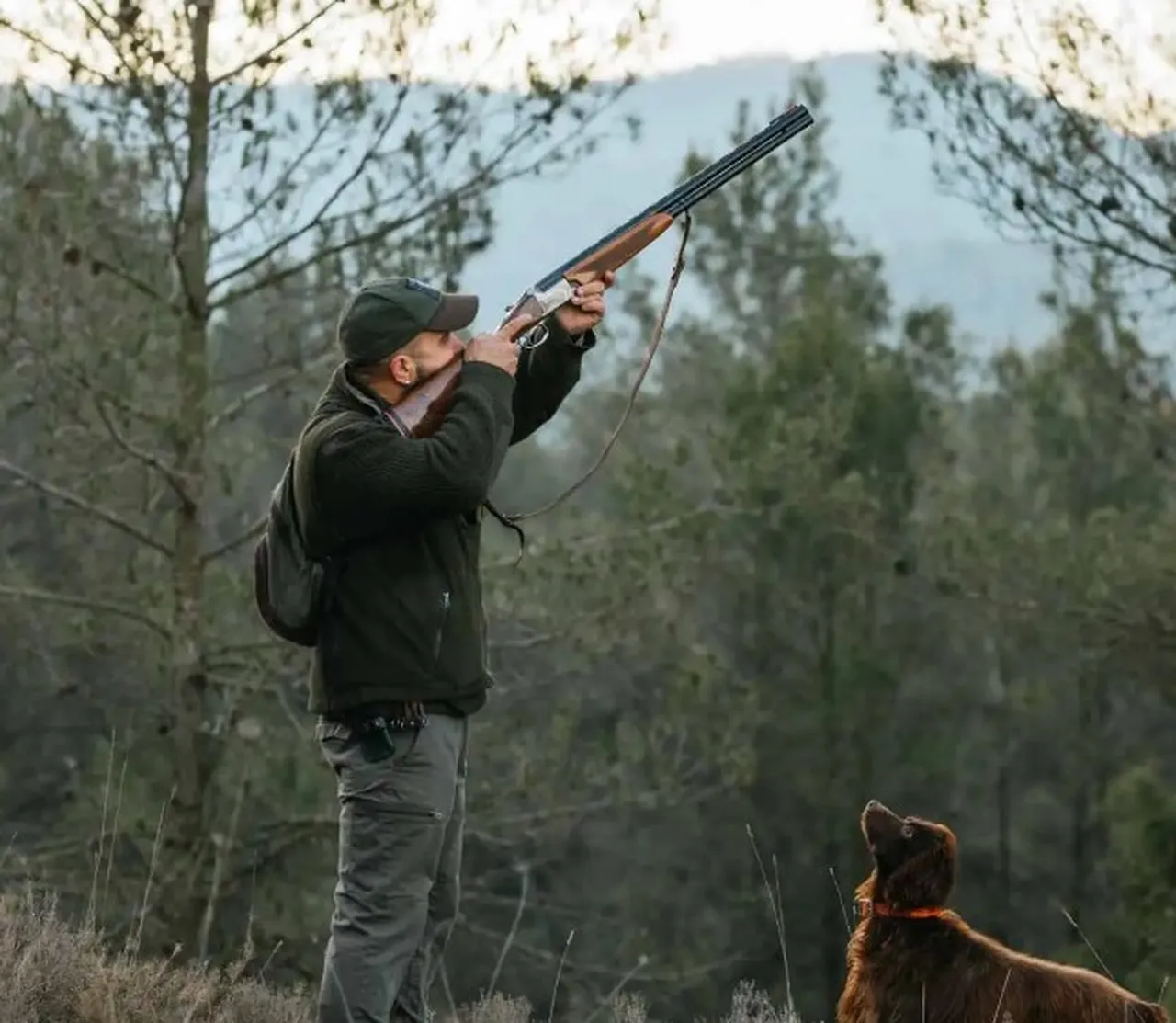 Tavşan av sezonu ne zaman açılıyor? 2025-2026 av sezonu başladı!