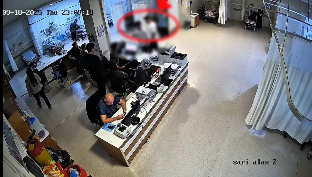 Alkollü sürücüden ‘pes’ dedirten oyun! Arkadaşına kan verdirip cezaya itiraz etti