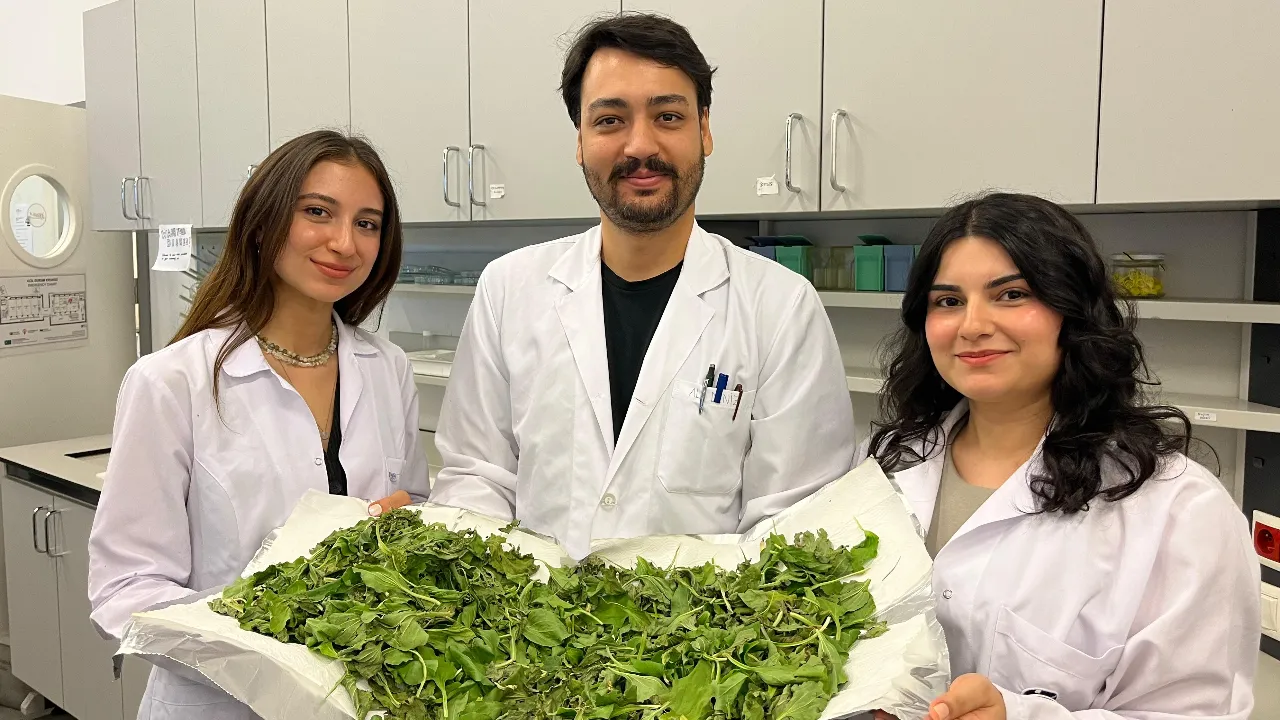 Anneanne şifasından bilimsel keşif! Üniversite öğrencilerinden antibiyotik direncine doğal çözüm
