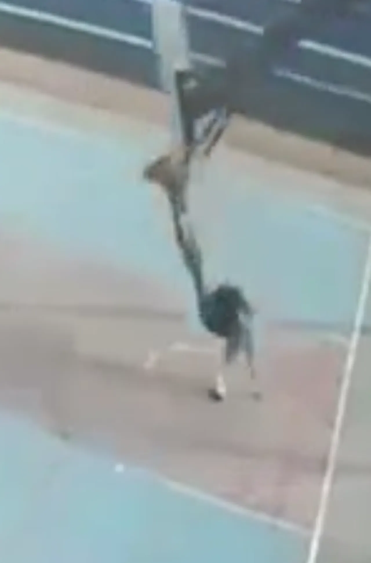 Basketbol oynarken kabusu yaşadı