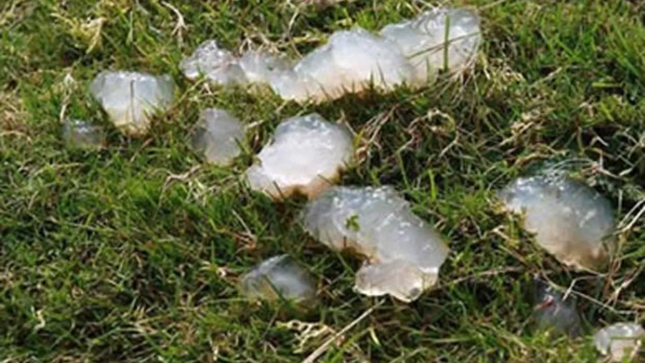 Bilim insanlarının hala tam olarak çözemediği 10 doğa gizemi