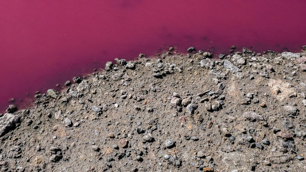 Bilim insanlarının hala tam olarak çözemediği 10 doğa gizemi