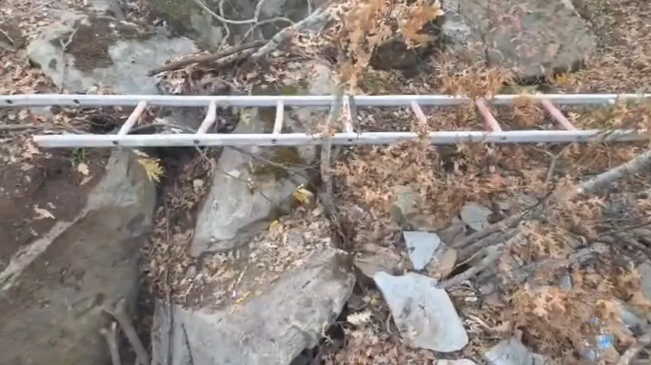 Define hayalleri suya düştü! Suçüstü yakalandılar