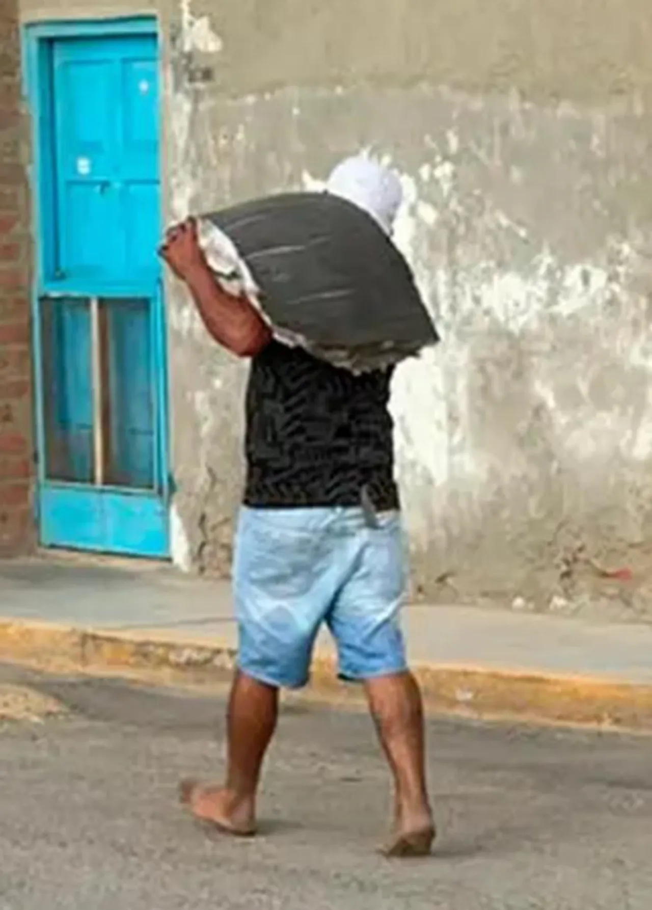 Dev köpek balığı sahile vurdu, görenler başına üşüştü! Uzmanlardan tepki yağdı