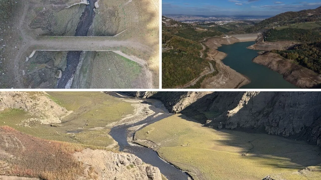 Geçen yıl bu zamanlar yüzde 30'du! Şimdi dip seviyede