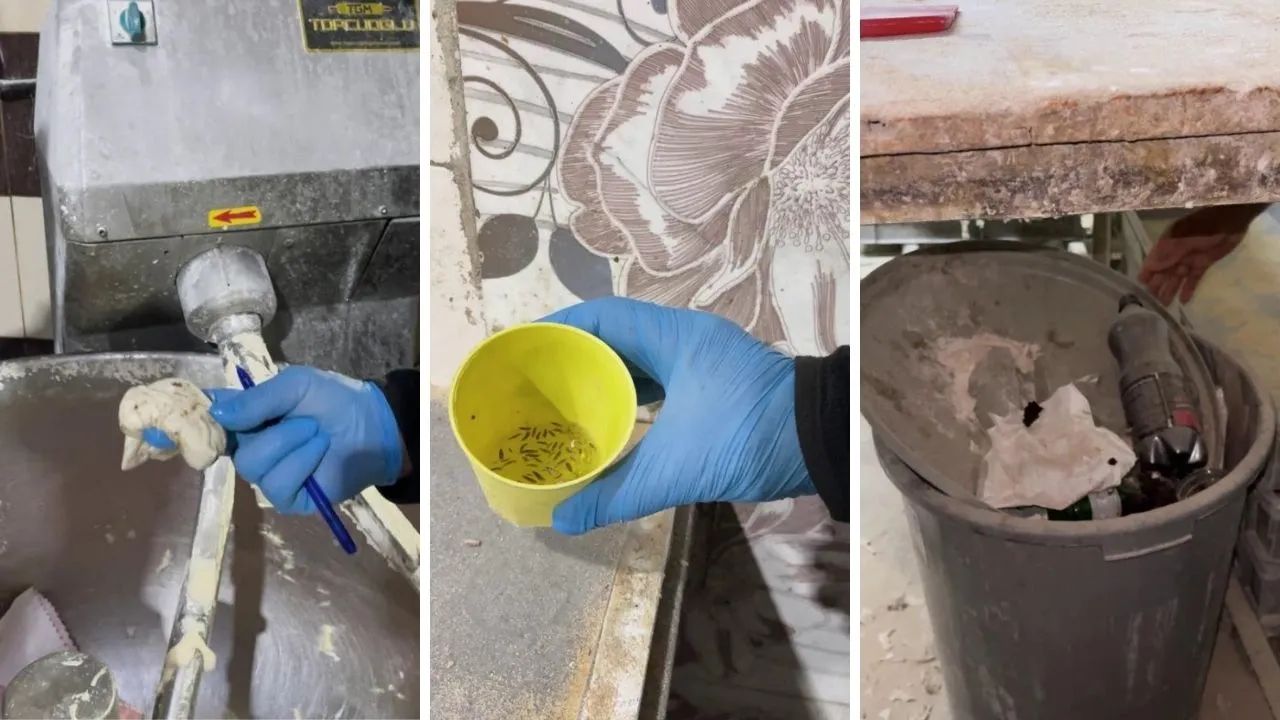 Hatay'da denetlenen fırında mide bulandıran görüntüler! Böcek çeşitleri saymakla bitmedi