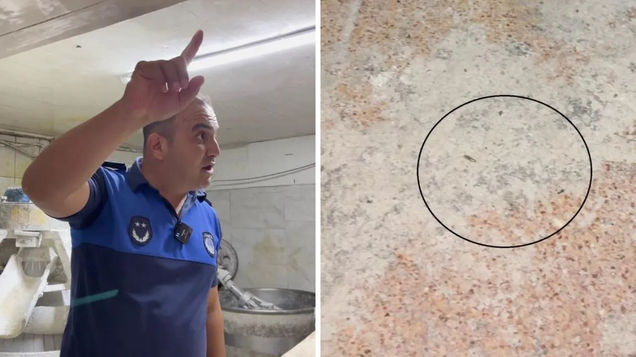 Hatayda denetlenen fırında mide bulandıran görüntüler! Böcek çeşitleri saymakla bitmedi