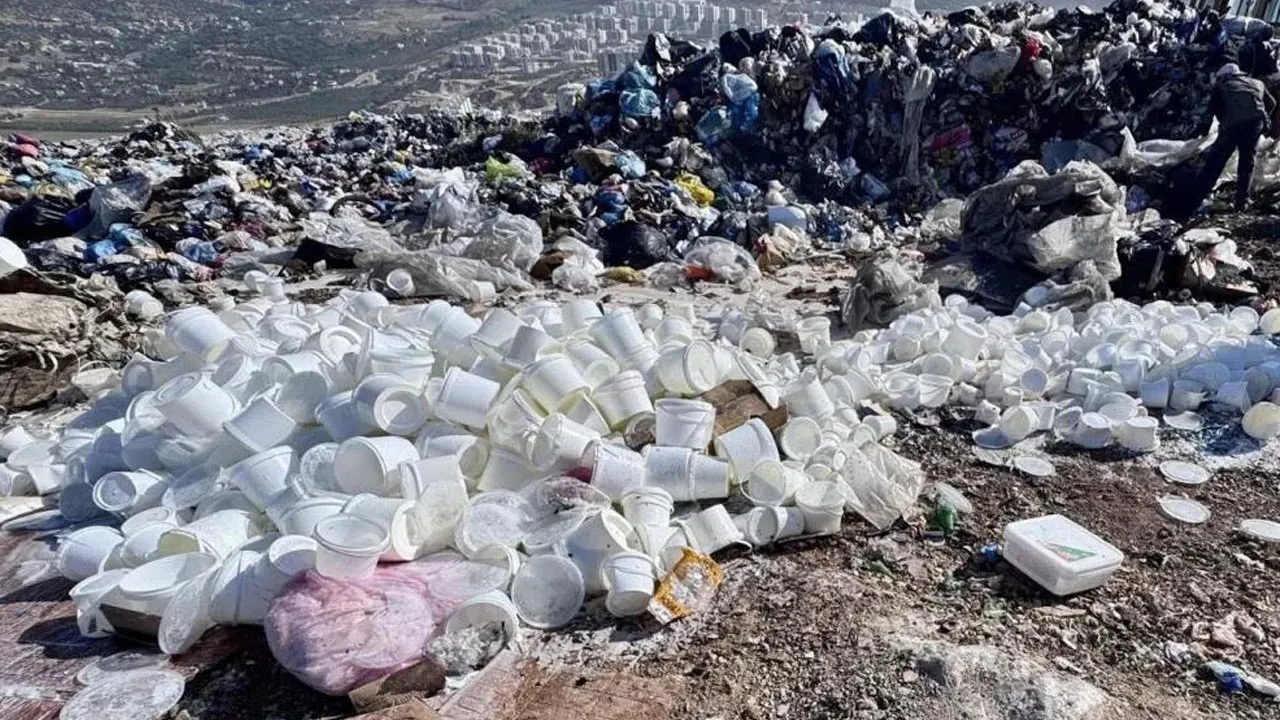 Hatay'da denetlenen fırında mide bulandıran görüntüler! Böcek çeşitleri saymakla bitmedi