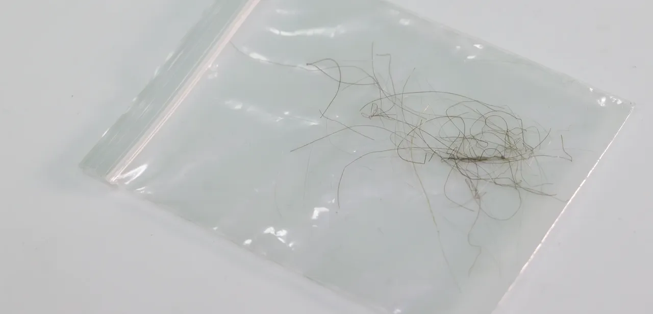 Kral Charles'ın bir tutam saçı