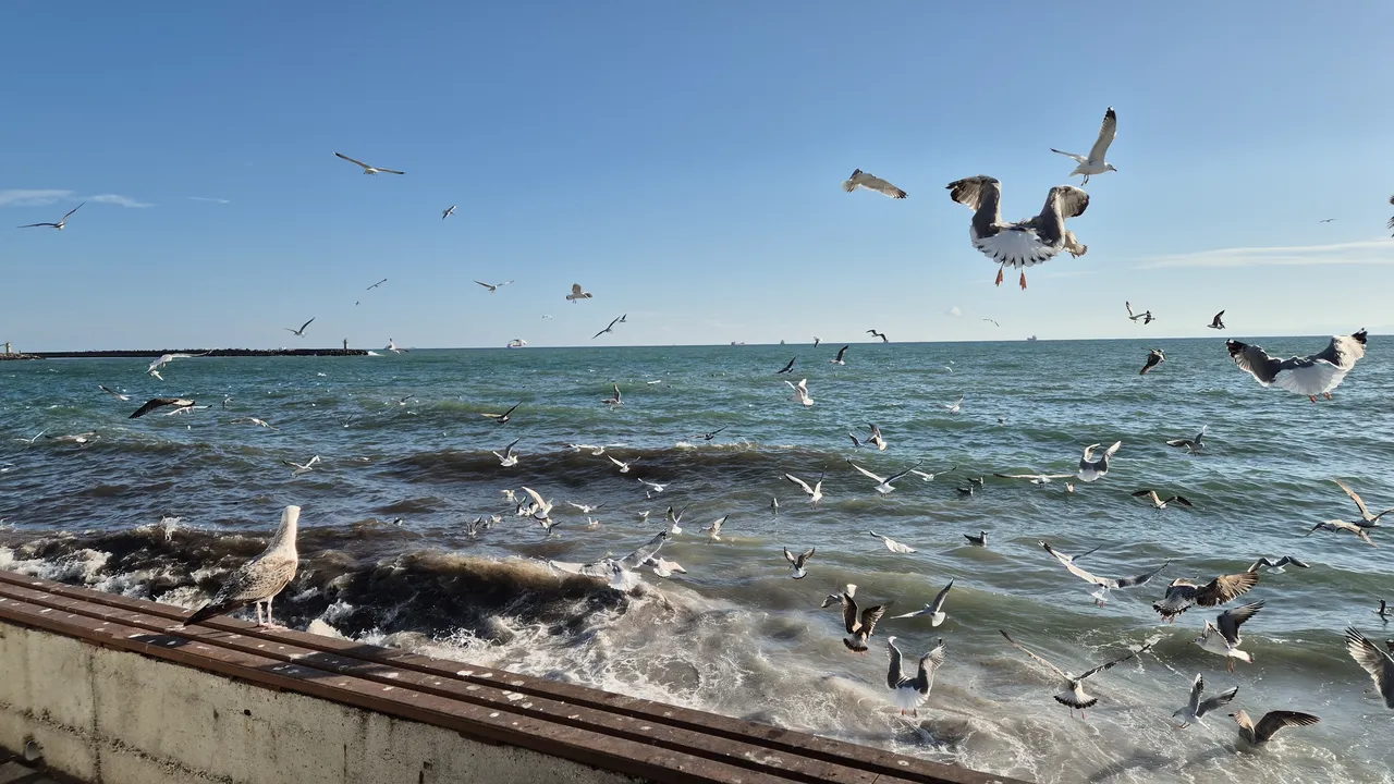 Tekirdağ'da 3 gündür fırtına etkili oldu