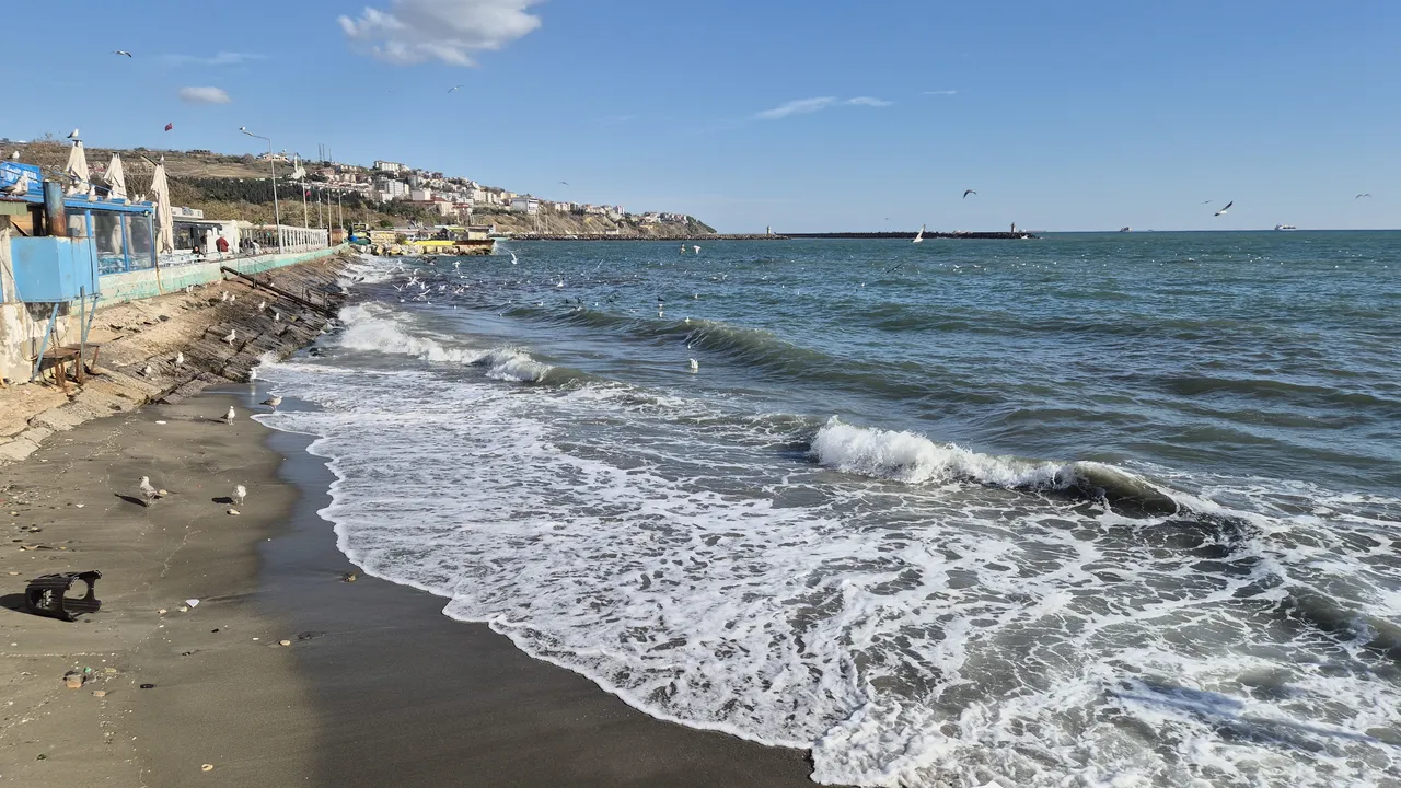 Tekirdağ’da balıkçılara lodos engeli! Günlerdir sürüyor