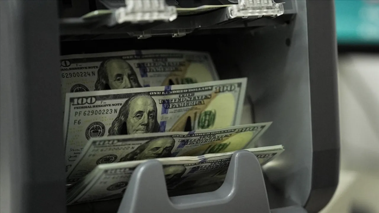 Yabancılar 239 milyon dolarlık DİBS aldı 