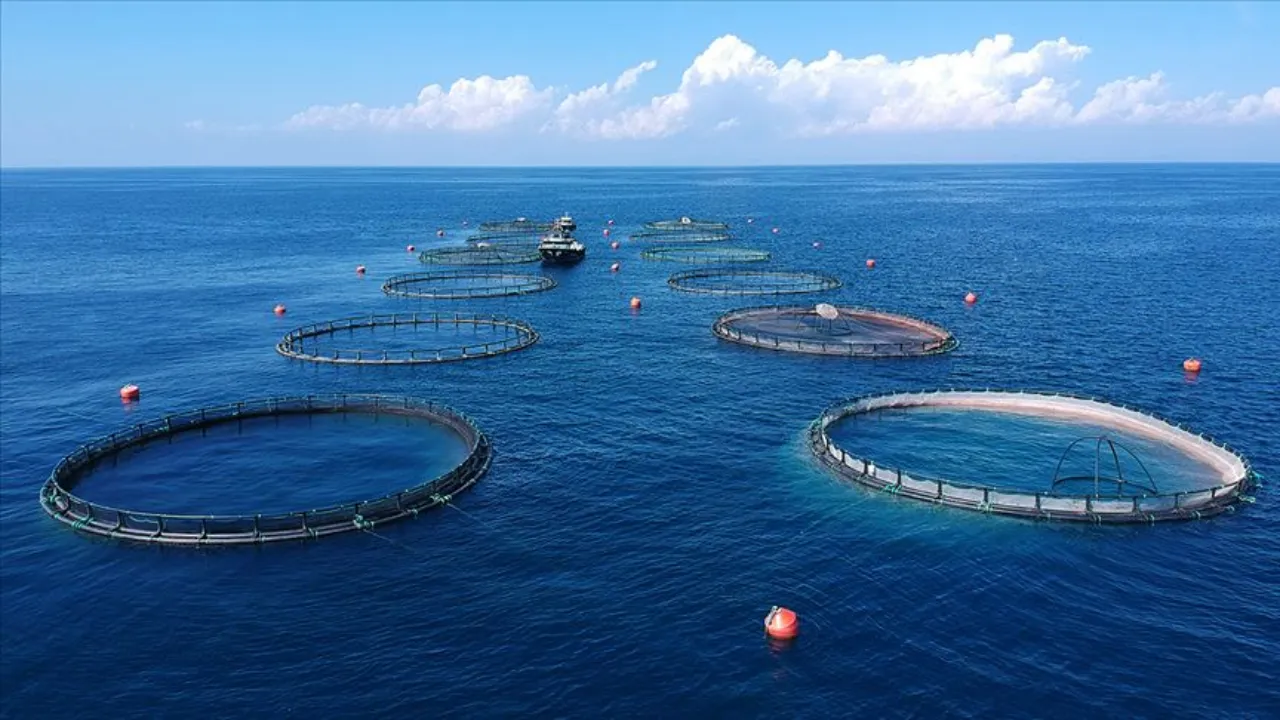 Bakanlıktan karar: Yeni 7 balık tescillendi!