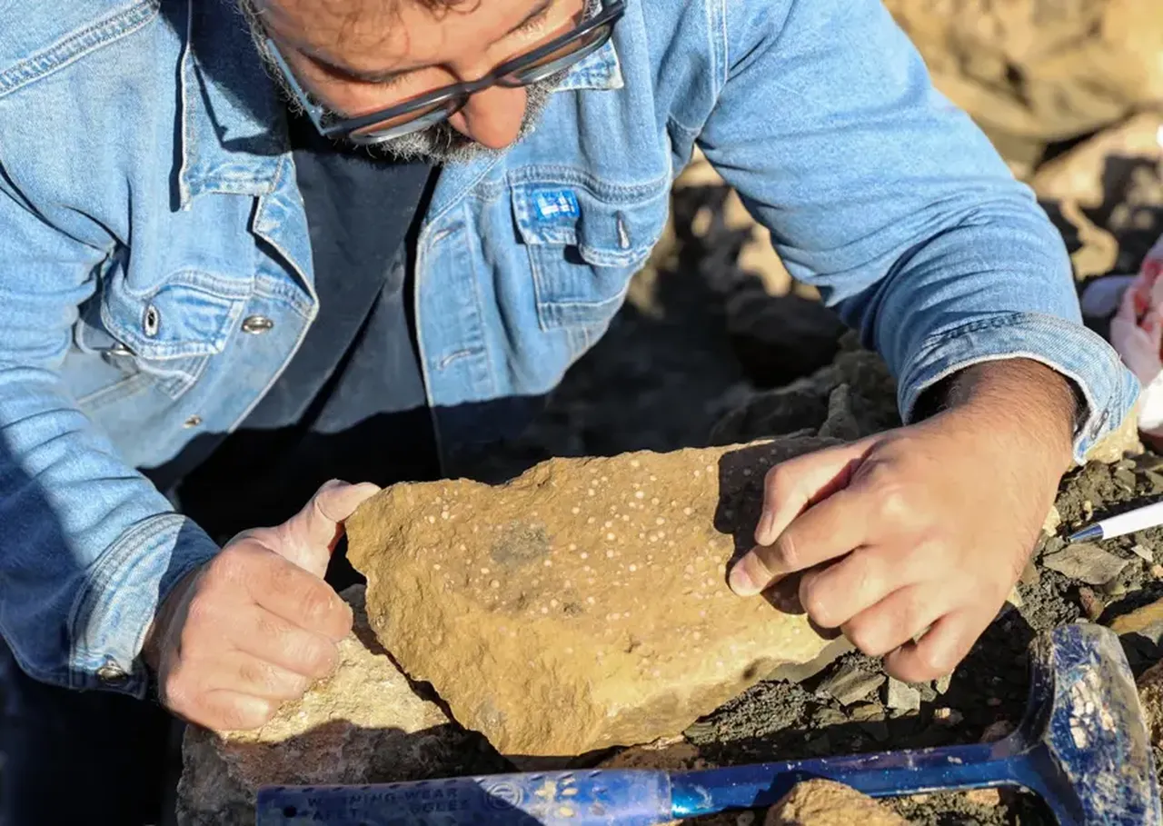 Bingölde tarihi keşif: Milyonlarca yıl önce bölge denizle kaplıymış!