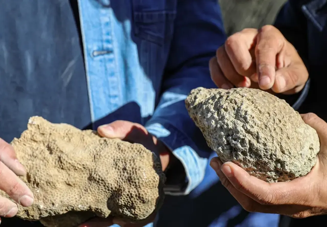 Bingölde tarihi keşif: Milyonlarca yıl önce bölge denizle kaplıymış!