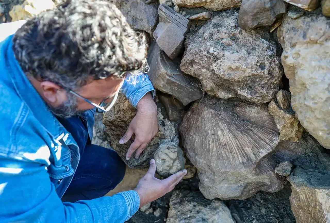 Bingölde tarihi keşif: Milyonlarca yıl önce bölge denizle kaplıymış!
