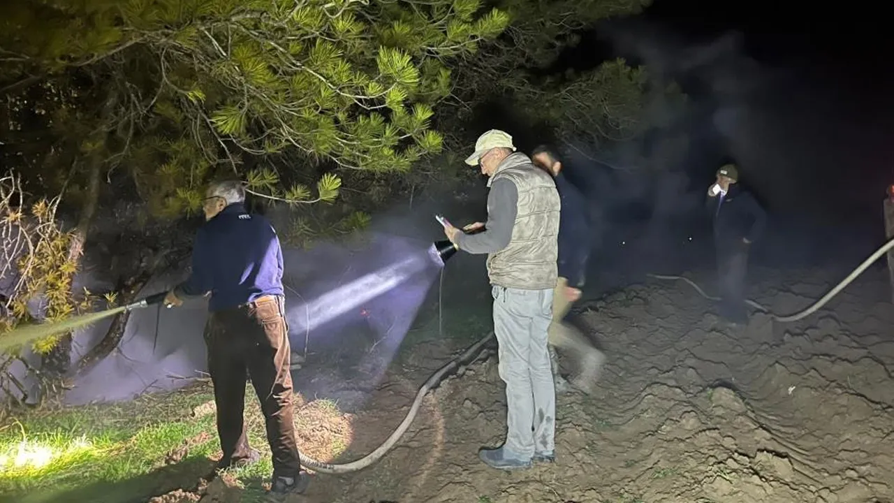 Bolu'da sıcak saatler! Ormanlık alanda yangın çıktı