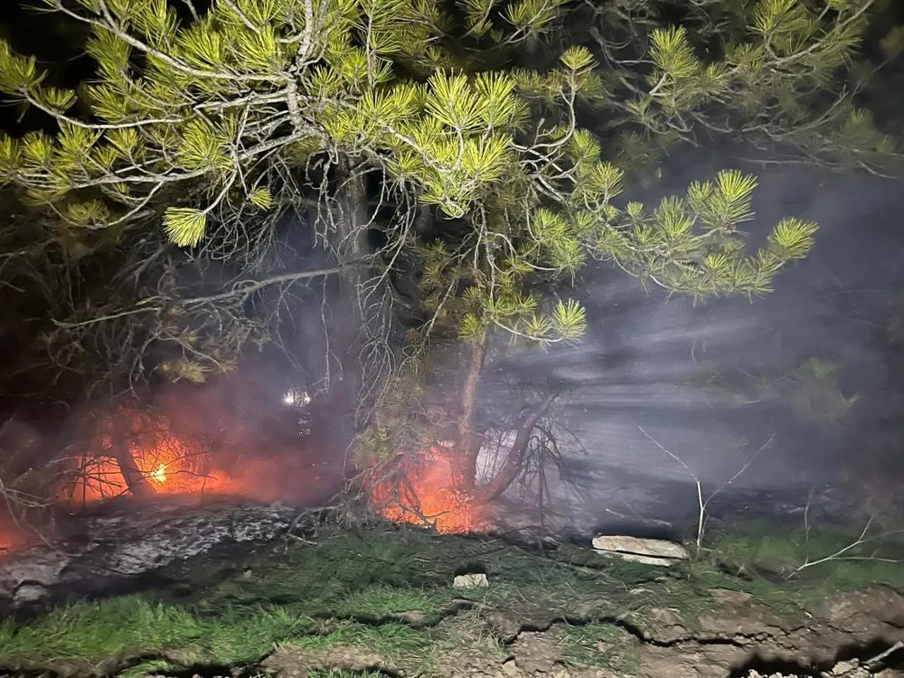 Boluda sıcak saatler! Ormanlık alanda yangın çıktı