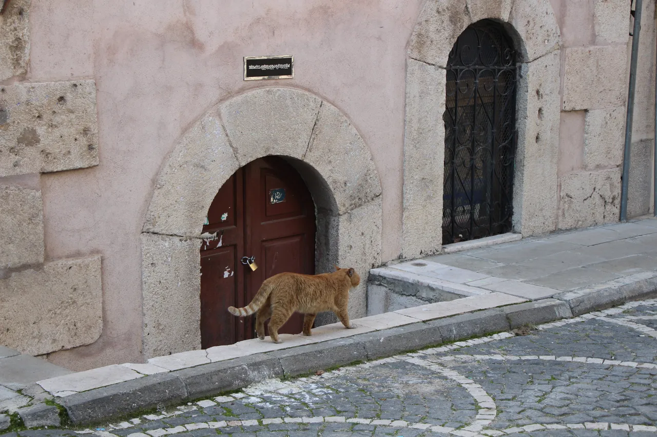 'Evliyalar diyarı' Amasya'da türbelere kilit vuruldu: Nedeni ortaya çıktı