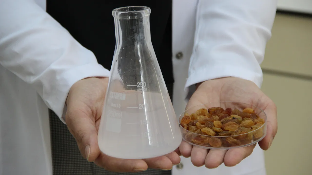 Gıda güvenliğinde kritik proje! 500 milyon dolarlık ihracatta risk ortadan kalkacak