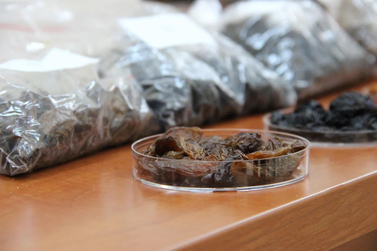 Gıda güvenliğinde kritik proje! 500 milyon dolarlık ihracatta risk ortadan kalkacak