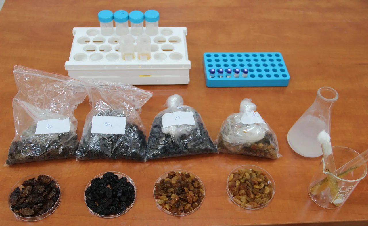 Gıda güvenliğinde kritik proje! 500 milyon dolarlık ihracatta risk ortadan kalkacak