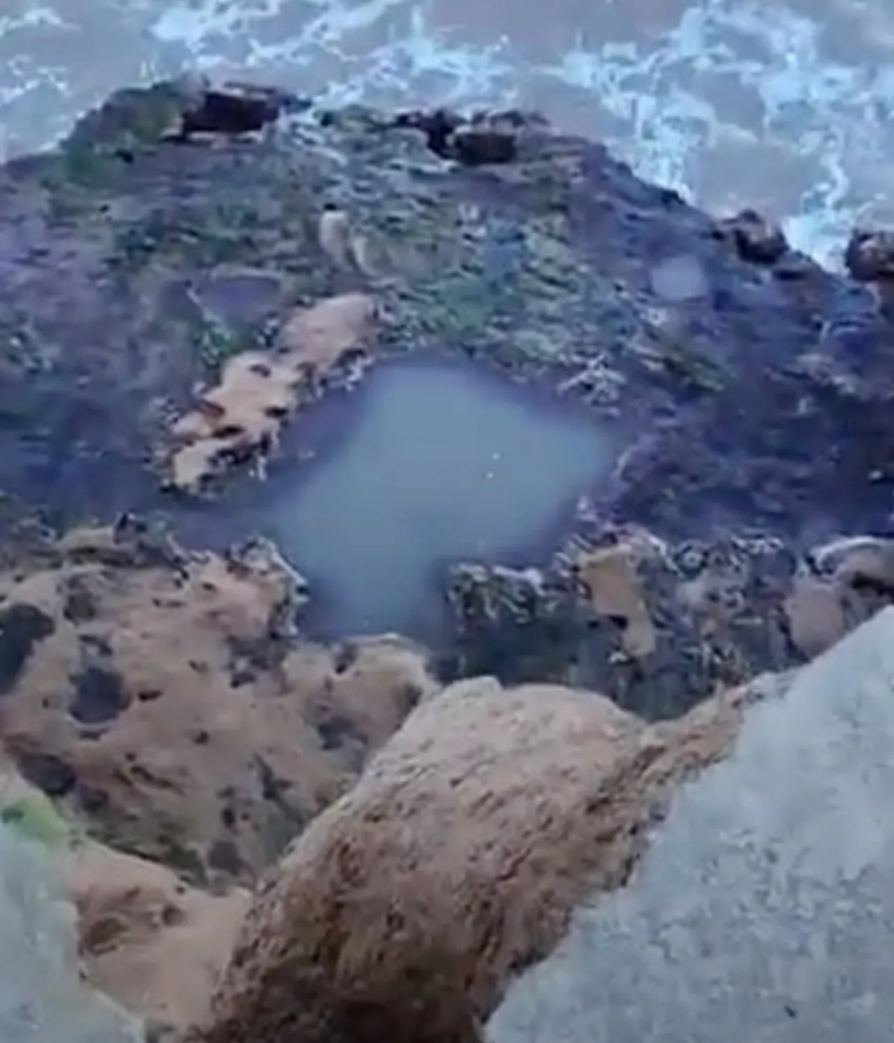 Manzara fotoğrafı çekerken kabusu yaşadı! Genç gazeteci feci şekilde hayatını kaybetti