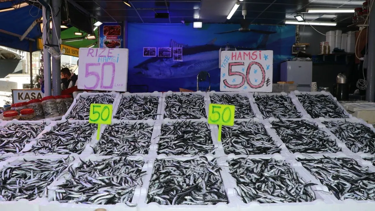 Rizede hamsi bolluğu: kilosu 50 lira!
