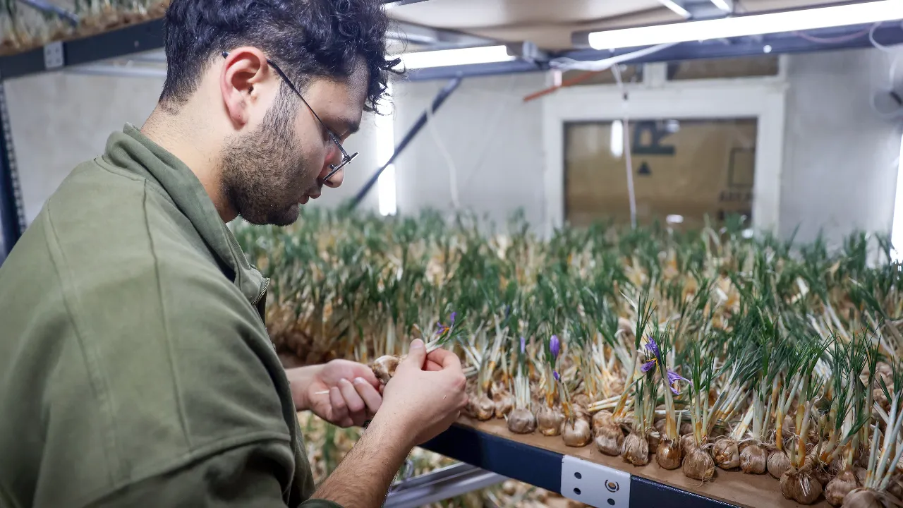 Sadece 14 metrekarede deneme amaçlı kurdu, yıllık kazancı 1 milyon TL!