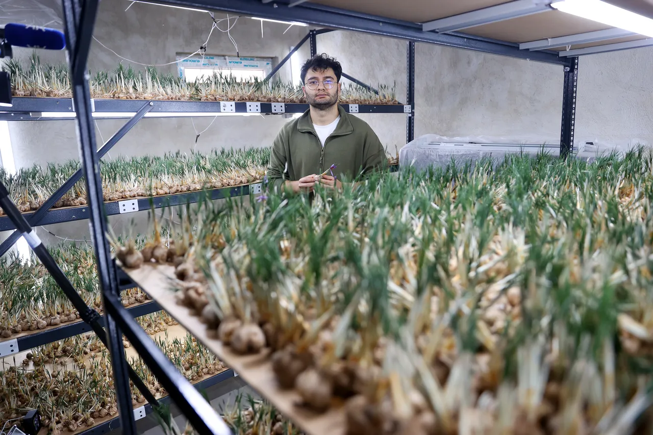 Sadece 14 metrekarede deneme amaçlı kurdu, yıllık kazancı 1 milyon TL!