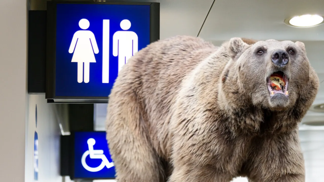 Tuvaletten çıktı, neye uğradığını şaşırdı! Yaşlı adama ayı saldırdı