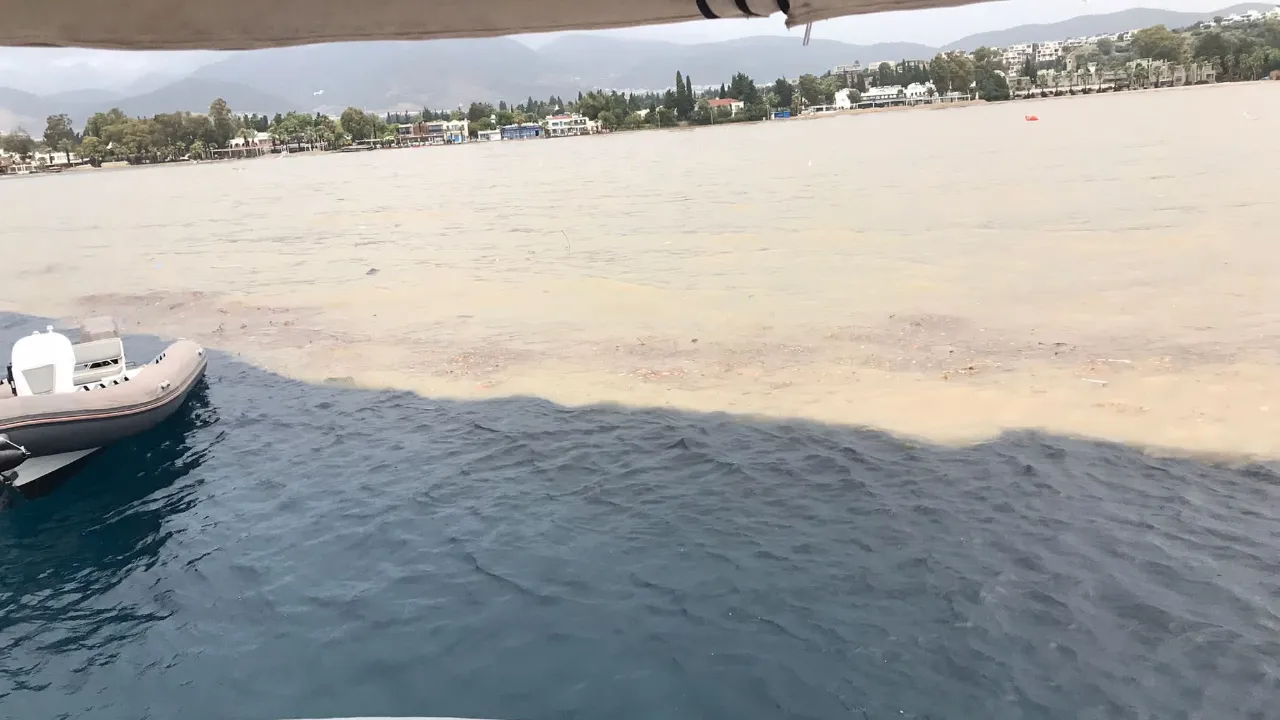 Bodrum’da şaşırtan manzara! Deniz iki renge bölündü