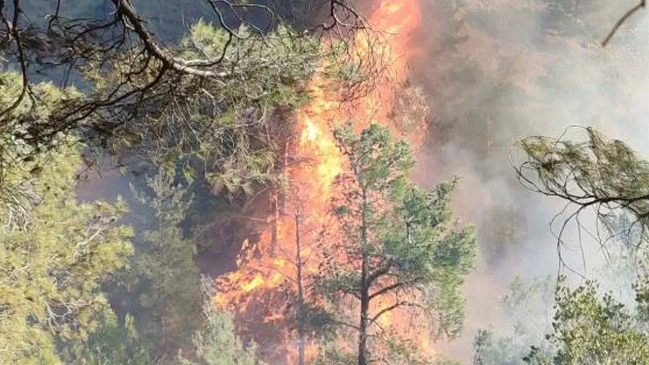 Hatay’da orman yangını! Ekipler bölgede