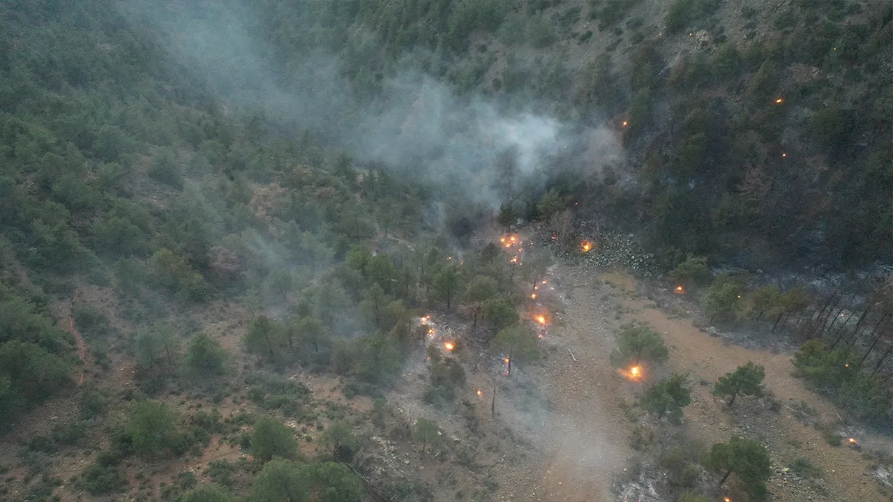 Hatay’da orman yangını saatler sonra kontrol altında