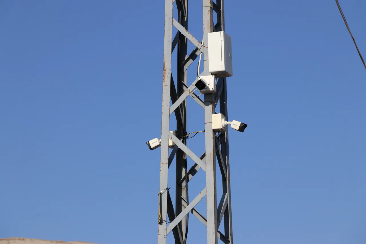 Türkiye'de bir ilk! Bu köy 7/24 kamerayla izleniyor, işte nedeni...