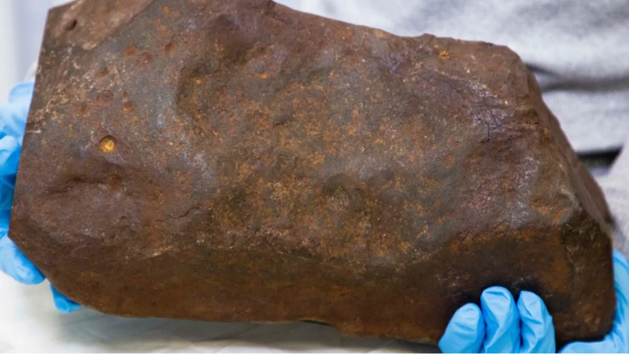 Kaya sandığı taş altından değerli çıktı!