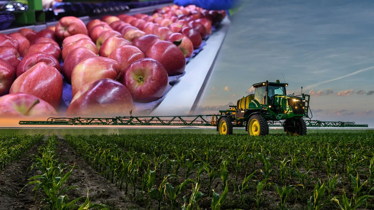 25 ülkeye ihracat yapan Saraylım Tarım, konkordato ilan etti!